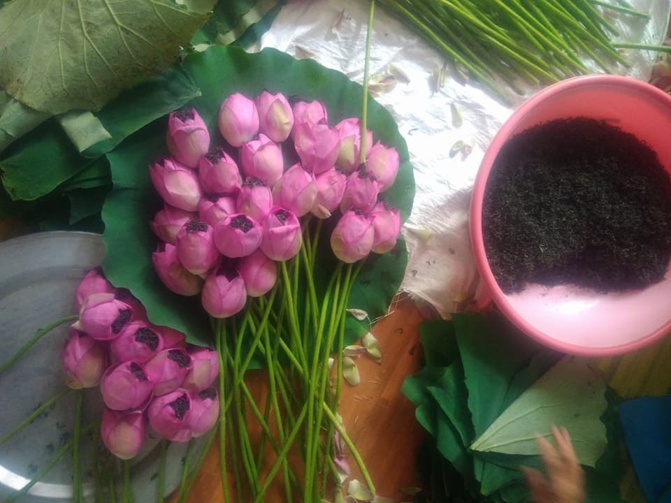 Bông trà sen Tây Hồ
