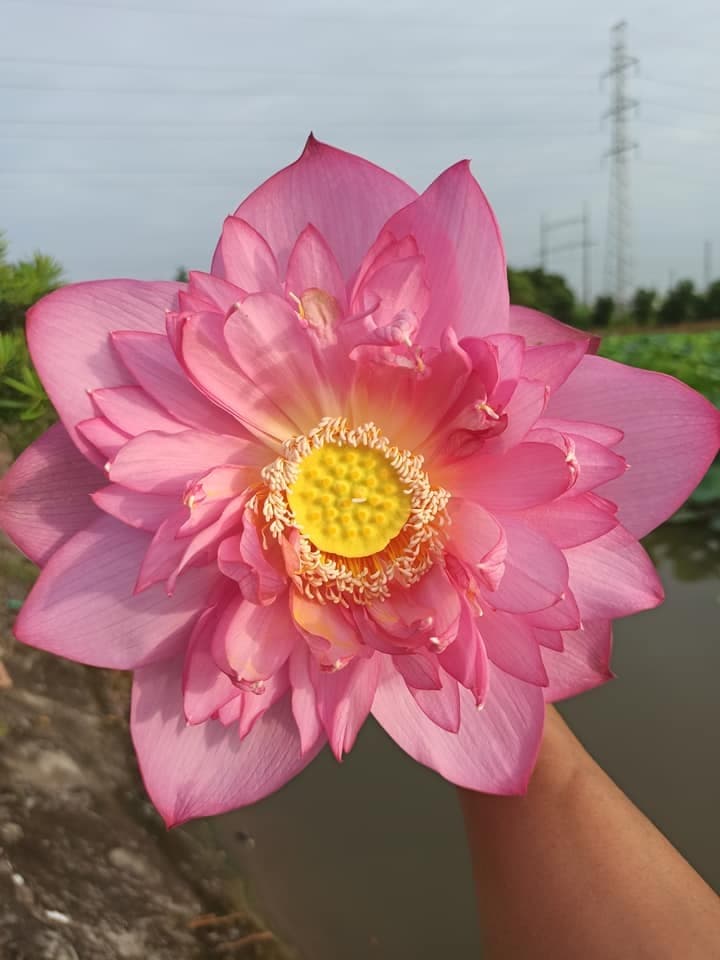 Phản hồi khách hàng anh Minh